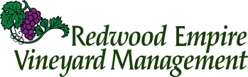 Redwood Empire Vineyard Management